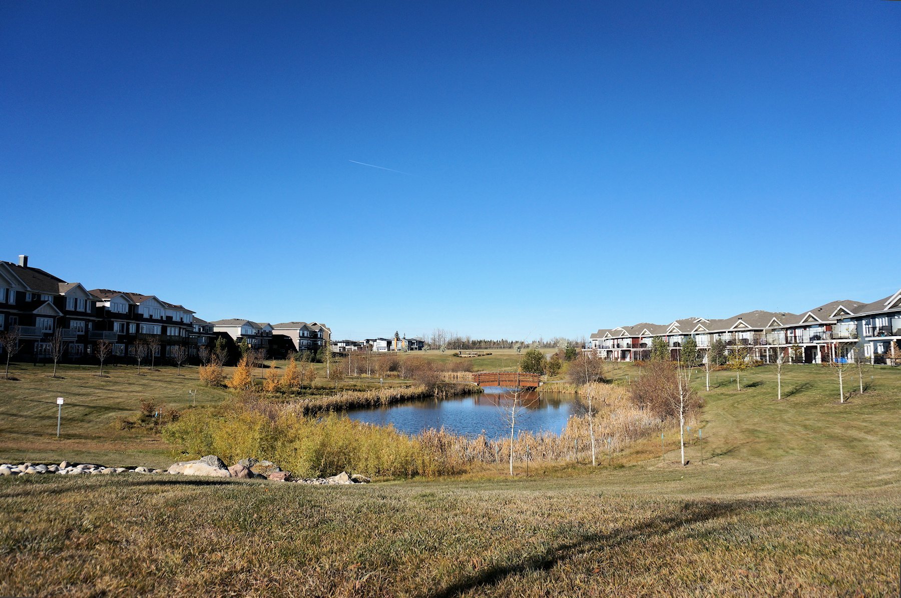 Cameron Heights Edmonton Homes For Sale, Cameron Heights Real Estate